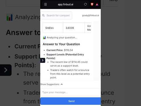 FinBud.ai video preview