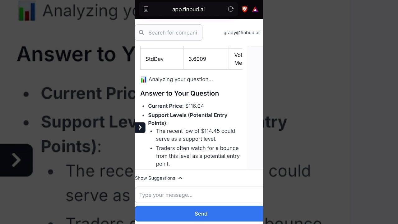 FinBud.ai video preview