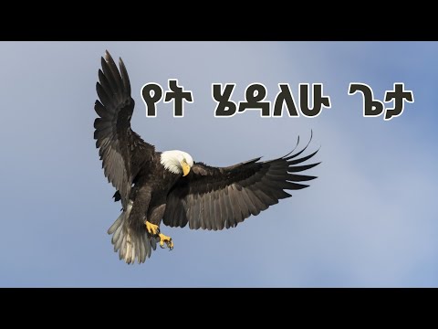 *የት እሄዳለሁ*