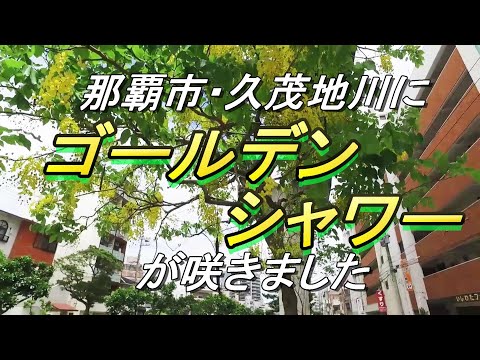 ゴールデンシャワー