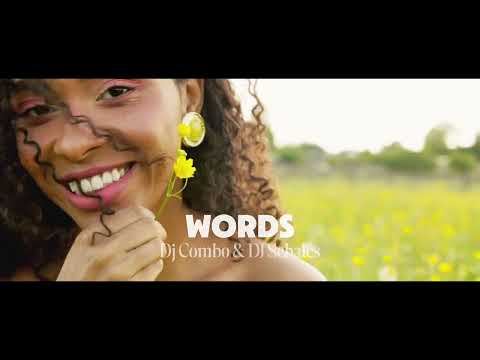 DJ Combo & DJ Sebales - Words (Extended Mix) (Official 4K Video) cover F.R. David 2026