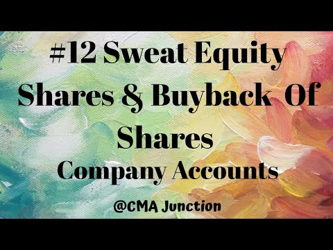 1 Company Accounts And Audit| Accounting of Shares And Debentures | CMA INTER |CA INTER