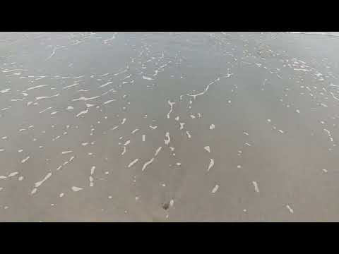 WHEN THEY ARE BACK BUSY WORKING AT OFFICE BUT YOUR STILL ON #VACATION🥰🤪 #BEACH❤️