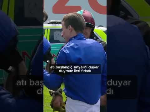 At Binici Olmadan Yarışı Kazandı 😨🐴 | William Buerk x Blue Trail