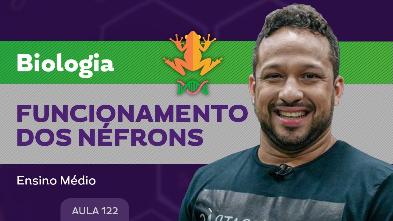Funcionamento dos néfrons - Biologia - Ensino Médio