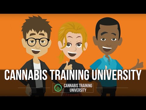 image-What is a cannabis college?