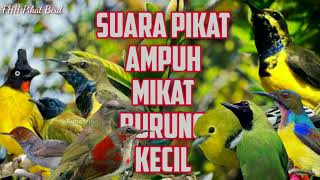 Download lagu SUARA PIKAT AMPUH MIKAT BURUNG KECIL@FHHPikatBird mp3