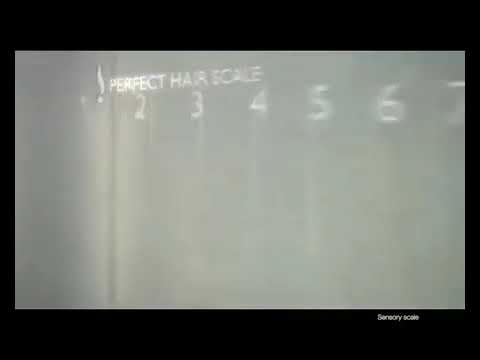 Sunsilk Clean & Fresh Conditioner with Cirtus Vitamin Complex (TVC 30's "2010")