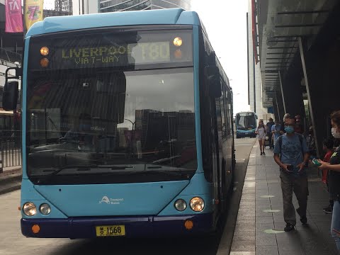 100th SUB SPECIAL! Transit Systems: Volvo B12BLEA Euro 3 (ZF Ecomat) / Custom Coaches CB60, m/o 1668