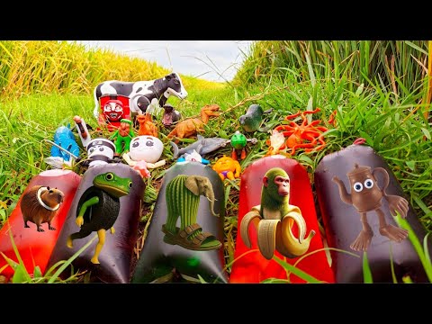 Collect All BRAINROT ITALIAN:Tung Tung Sahur,Cappucino Assasino With Dinosaurs