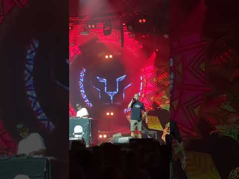 Youthstar & Miscellaneous live summer vibrations 2023