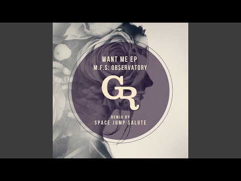 Want Me (Space Jump Salute Remix)