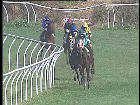 Galoppo 19/10/2017 - 2ª corsa