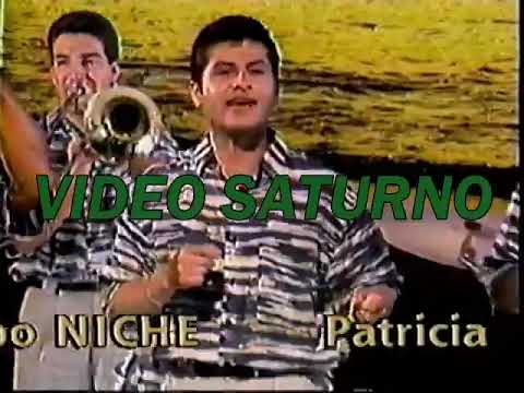 el disco del año vol 26 1994 VHS
