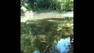 preview picture of video 'Guyandotte River in Harts'