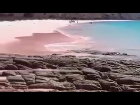 Pink beach in Indonesia  // Majjari Siva