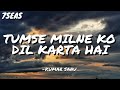 TUMSE MILNE KO DIL KARTA HAI KUMAR SANU LYRICS