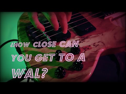 Double NFP-Special MKII + Turner multi-coils SEP (English Voicing)