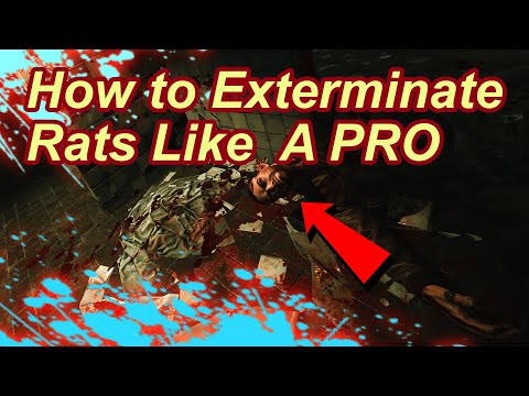 How Take D2 Extract Like A Pro - Escape From Tarkov - Guide