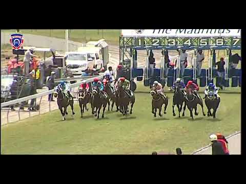 RM36 R1 | He's Got Gears | A.Roy