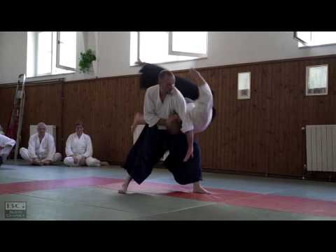 Aikido: Stéphane Goffin in Split