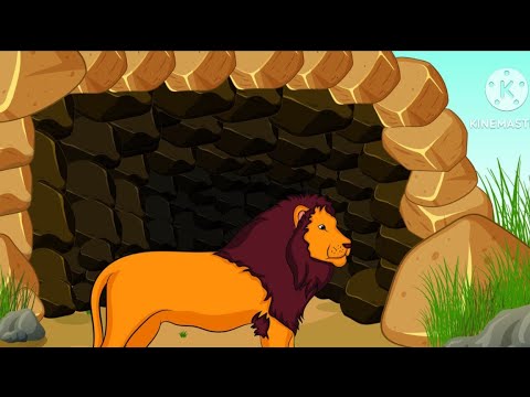 Where do animals live|| Animals and homes || habitat