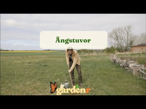 Meadow tufts - Gardenhacks by GardenR