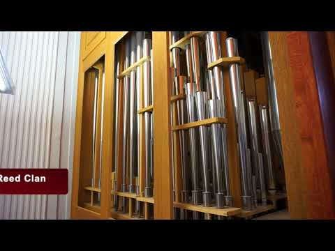Organ tutorials: Organ pipe families - reeds
