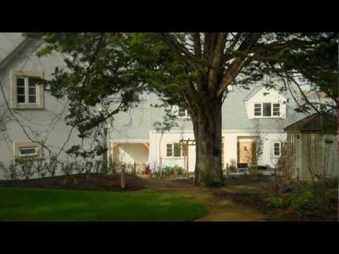 Cedar Gardens. Taunton, Somerset