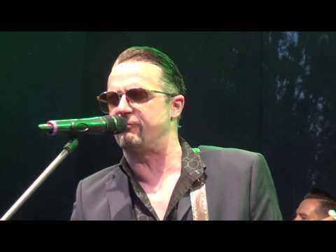download lagu mp3 mp4 Kai Strauss Band, download lagu Kai Strauss Band gratis, unduh video klip Kai Strauss Band