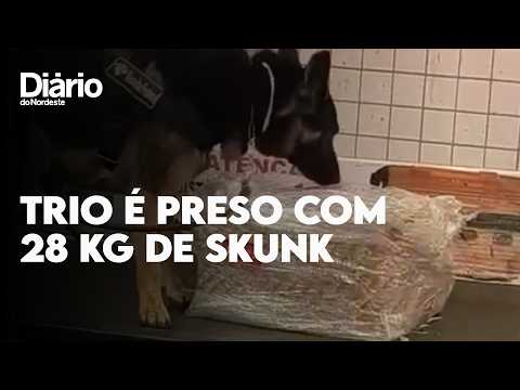Trio é preso com 28 kg de skunk escondidos em potes de manteiga em Fortaleza; veja vídeo 