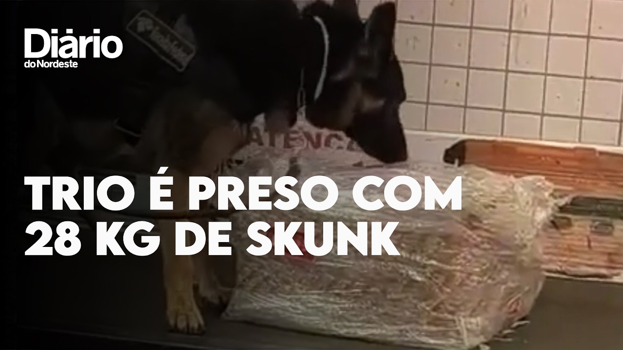 Imagem da notícia Trio é preso com 28 kg de skunk escondidos em potes de manteiga em Fortaleza; veja vídeo 