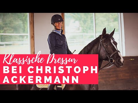 Riding lessons with Christoph Ackermann - Classical dressage with advanced horses