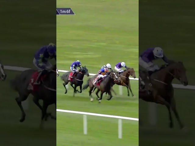 Thumbnail for Post ID: smuG6l78Moc