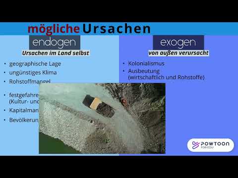 Endogenous and exogenous causes of developmental differences II