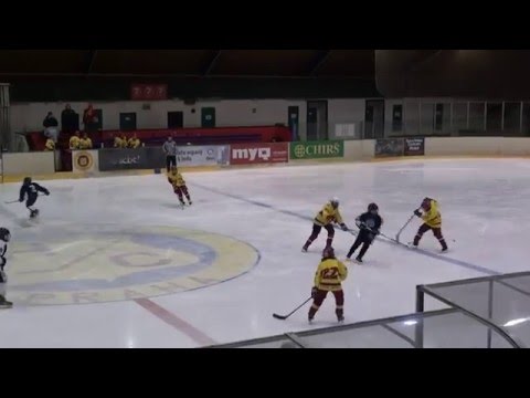 HC Hvězda Praha - Bílí Tygři Liberec, Liga ml. žáků 2004-05 - skupina C, 27. 2. 2016