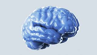 Classroom Innovation