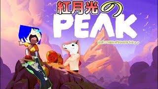 復活の#紅月光　で山登りリベンジ