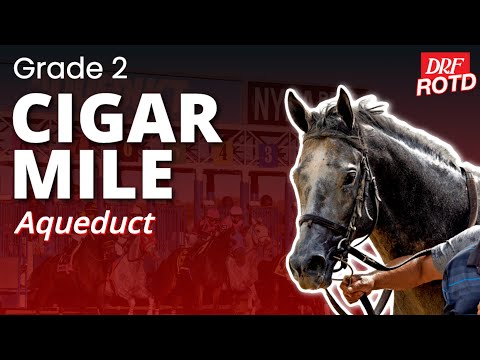 G2 Cigar Mile Handicap @ Aqueduct | DRF Saturday Race of the Day