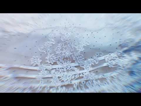 download lagu mp3 mp4 Bride Dubai, download lagu Bride Dubai gratis, unduh video klip Bride Dubai