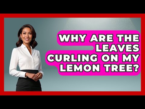 Why Are The Leaves Curling On My Lemon Tree? - The World of Agriculture