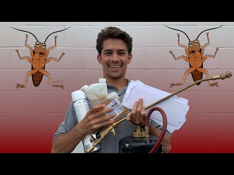 How a Professional Treats a Cockroach Infestation