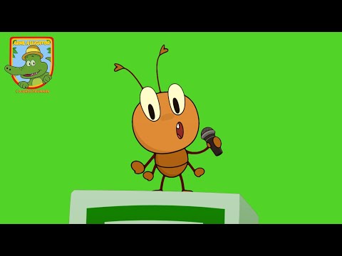 Loppans låtar på rad - Barnprogram