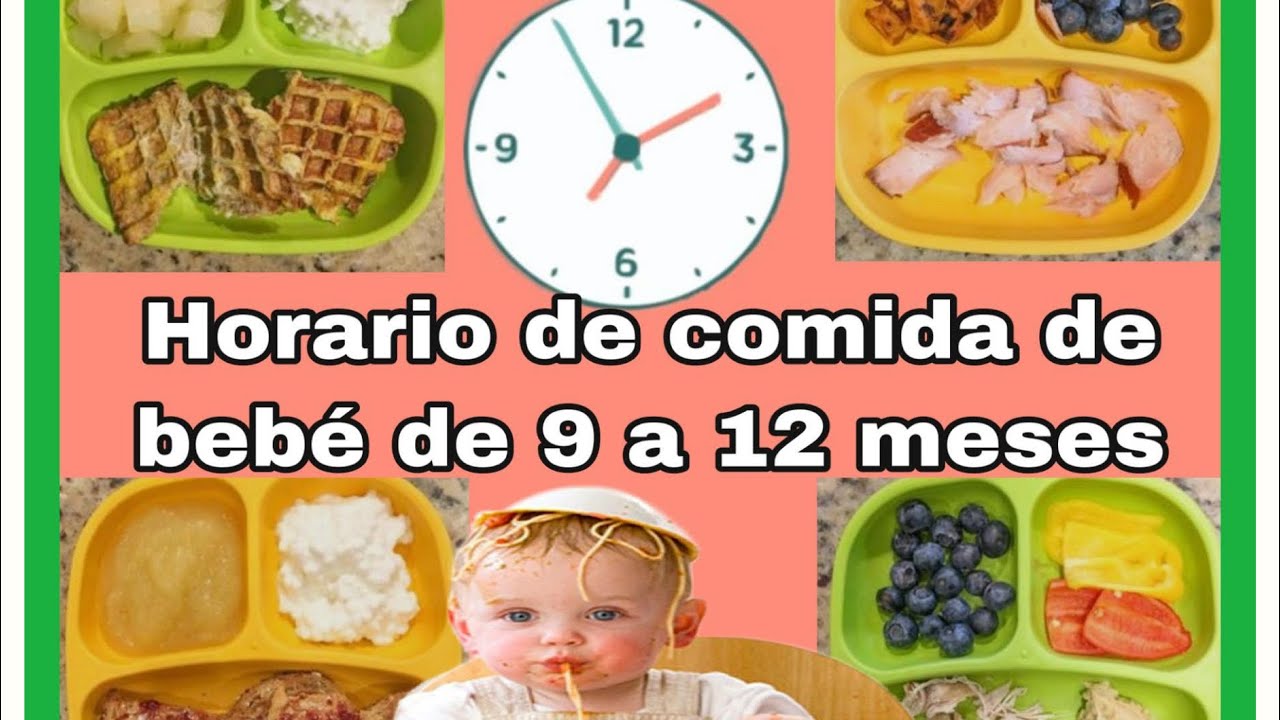 Horario de comida de bebe 9 a 12 meses, Ejemplo de horario de comida de bebé de un año