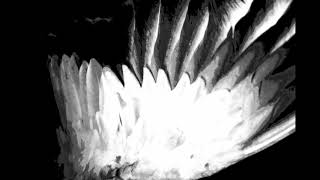 The Wrens @ 432hz: Happy