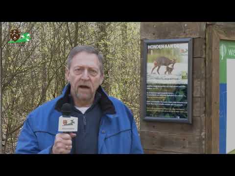 HET WISENTBOS -Nieuwsflits 1 (April09 2023)