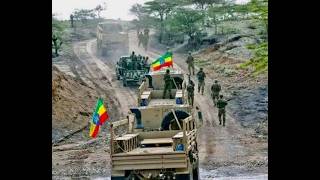Eritrean forces are massing and ENDF Column ambushed west of Mekelle