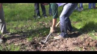 El Diamante's Green Club