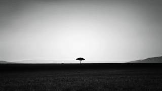 Ryan Murgatroyd - Waking up with Lucy (Original Mix)