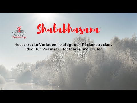 Shalabhasana - Heuschrecke Variation